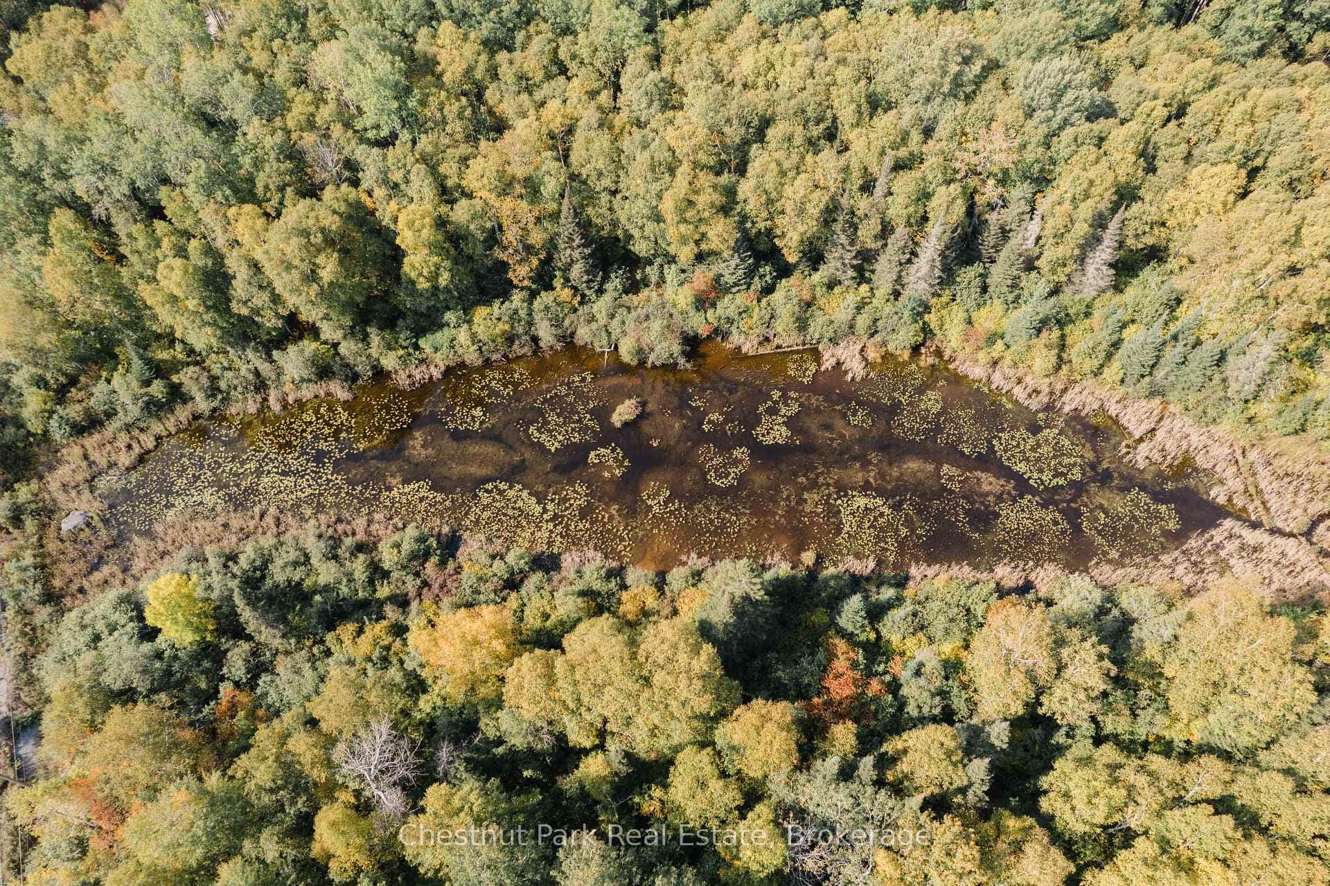 445 Fox Run photo 6