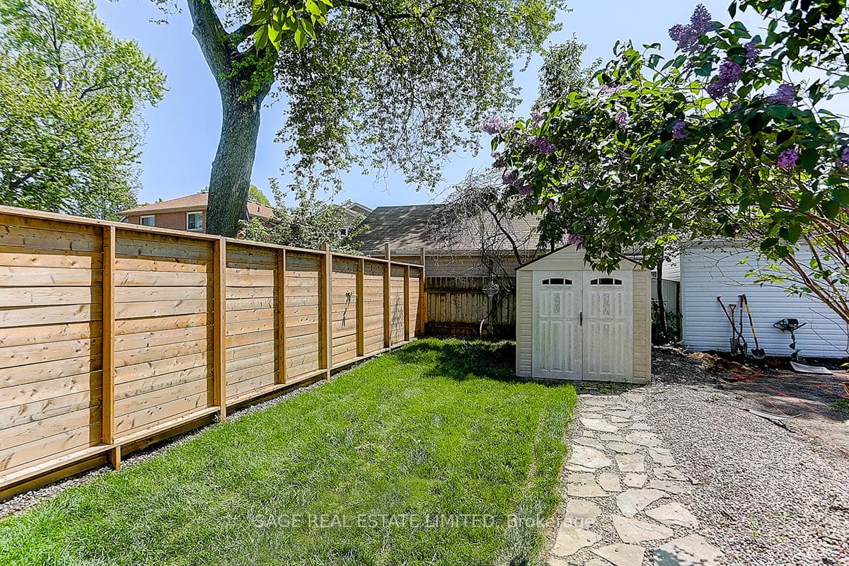 Back yard