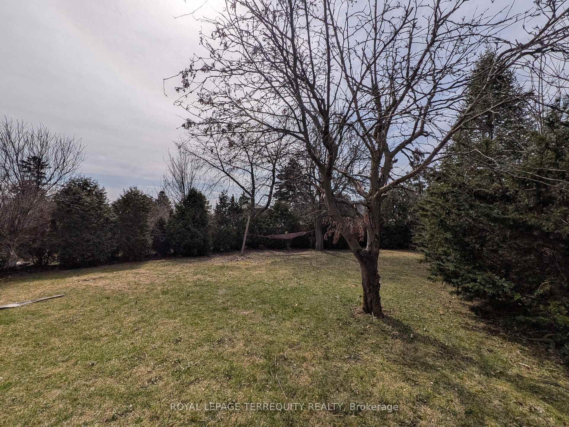 6 Peacham Crescent photo 48