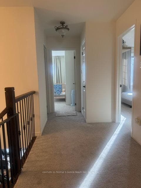 33 Mansbridge Crescent photo 47