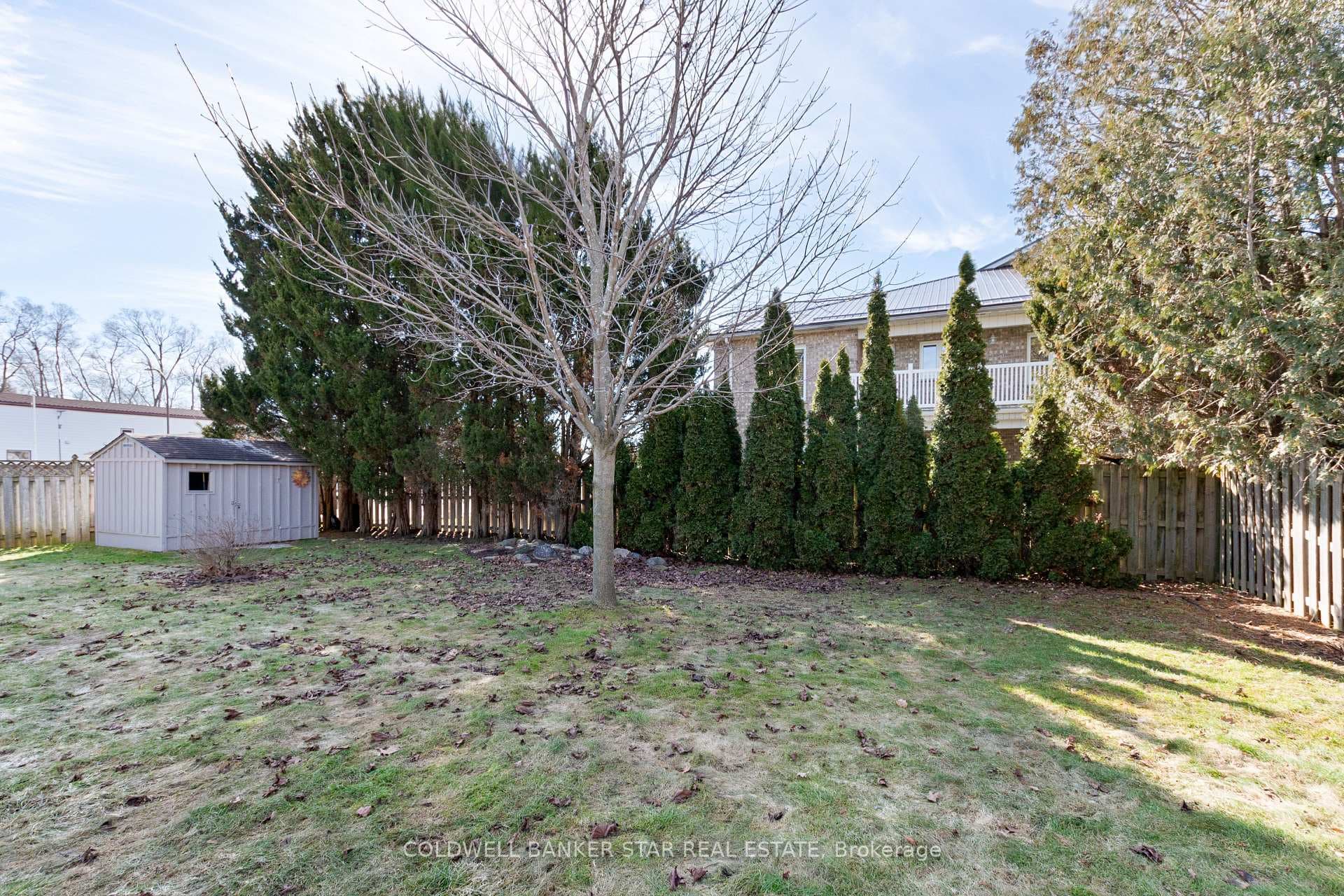 12 Treadwell Street photo 43