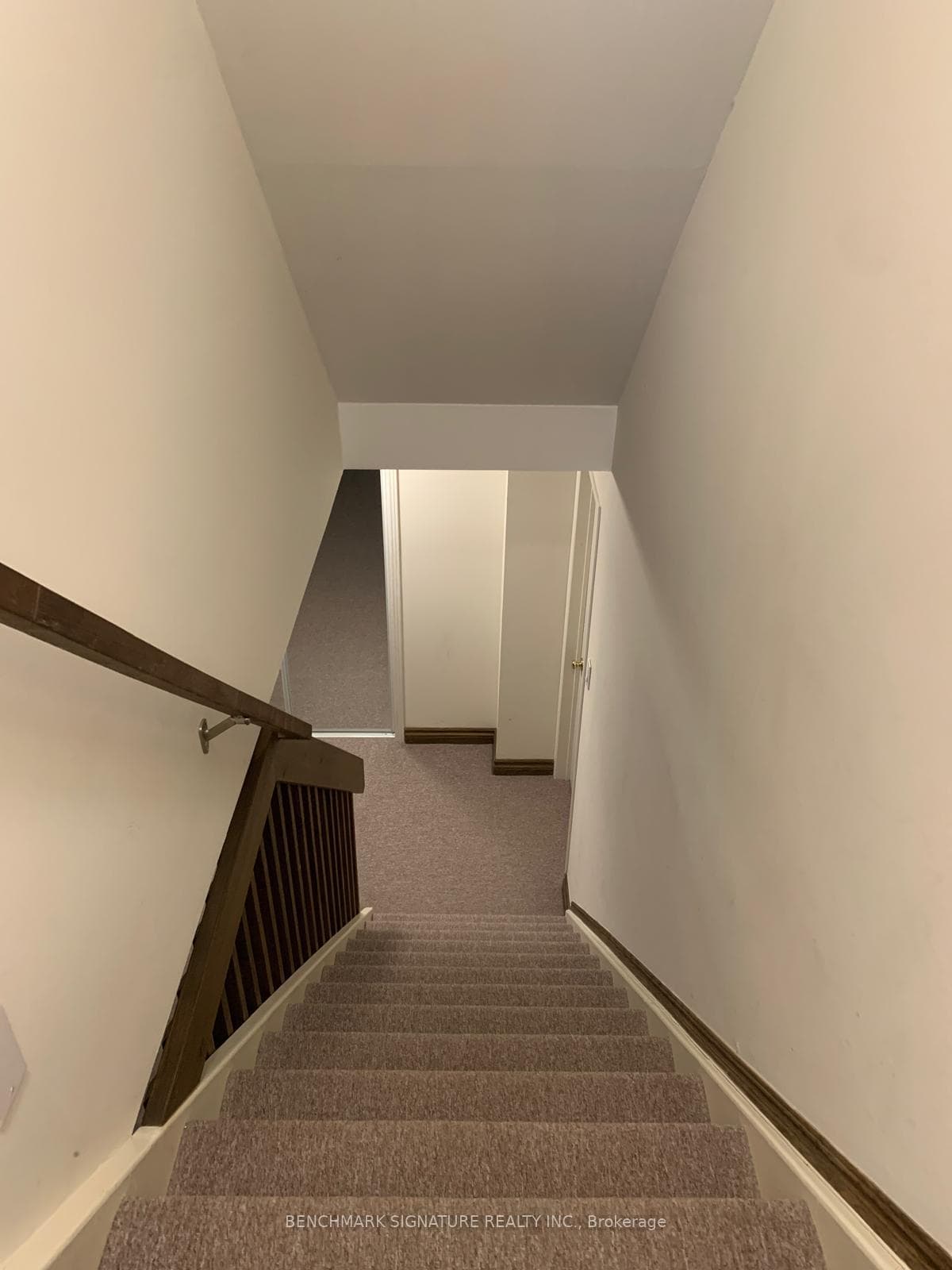 31 Melva Crescent photo 23