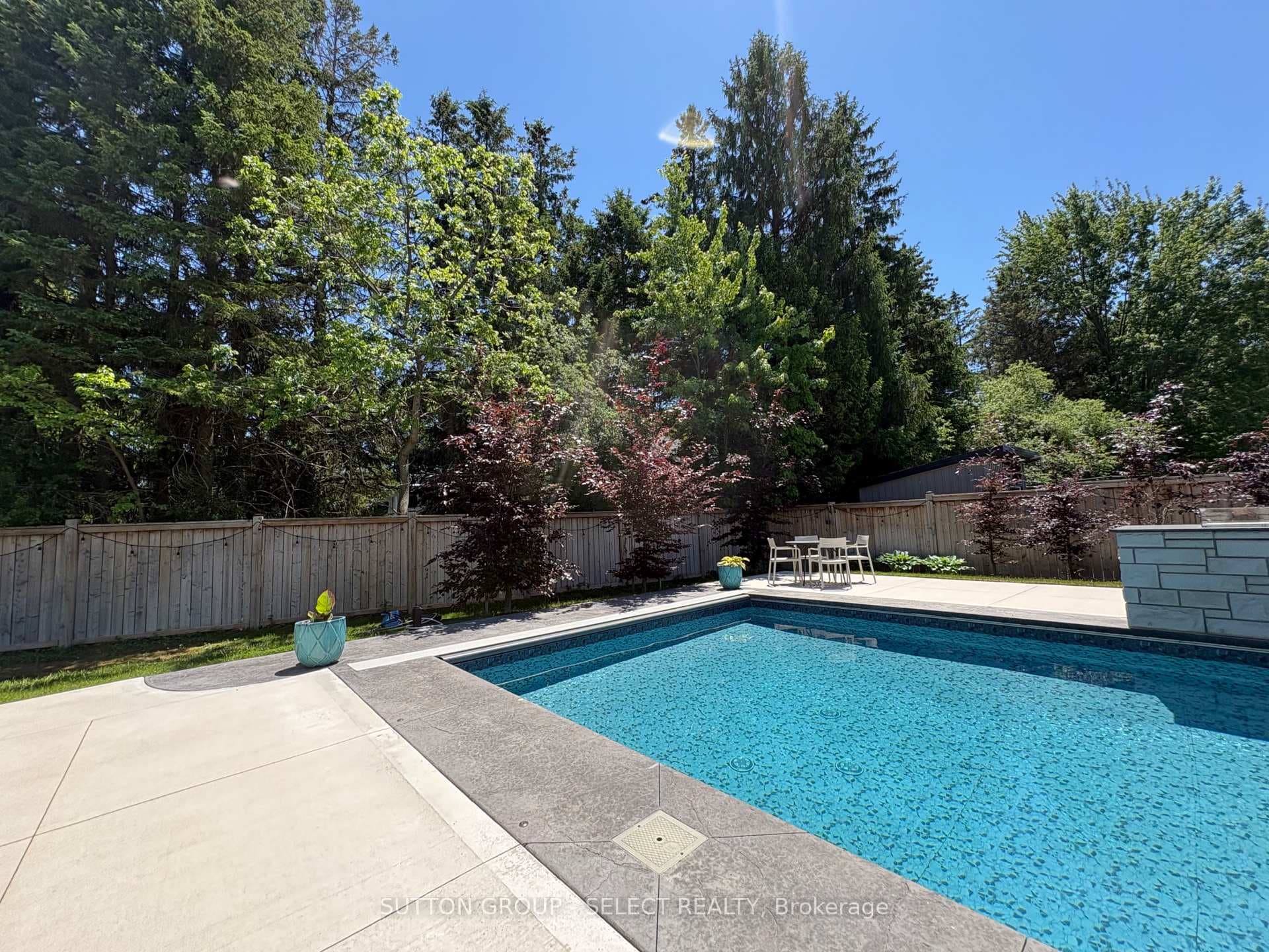 FULL TREES AROUND POOL