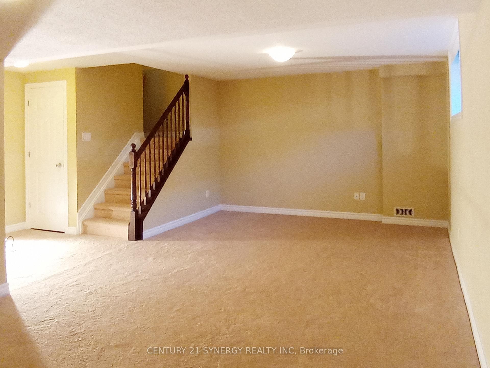Basement Recreation Room