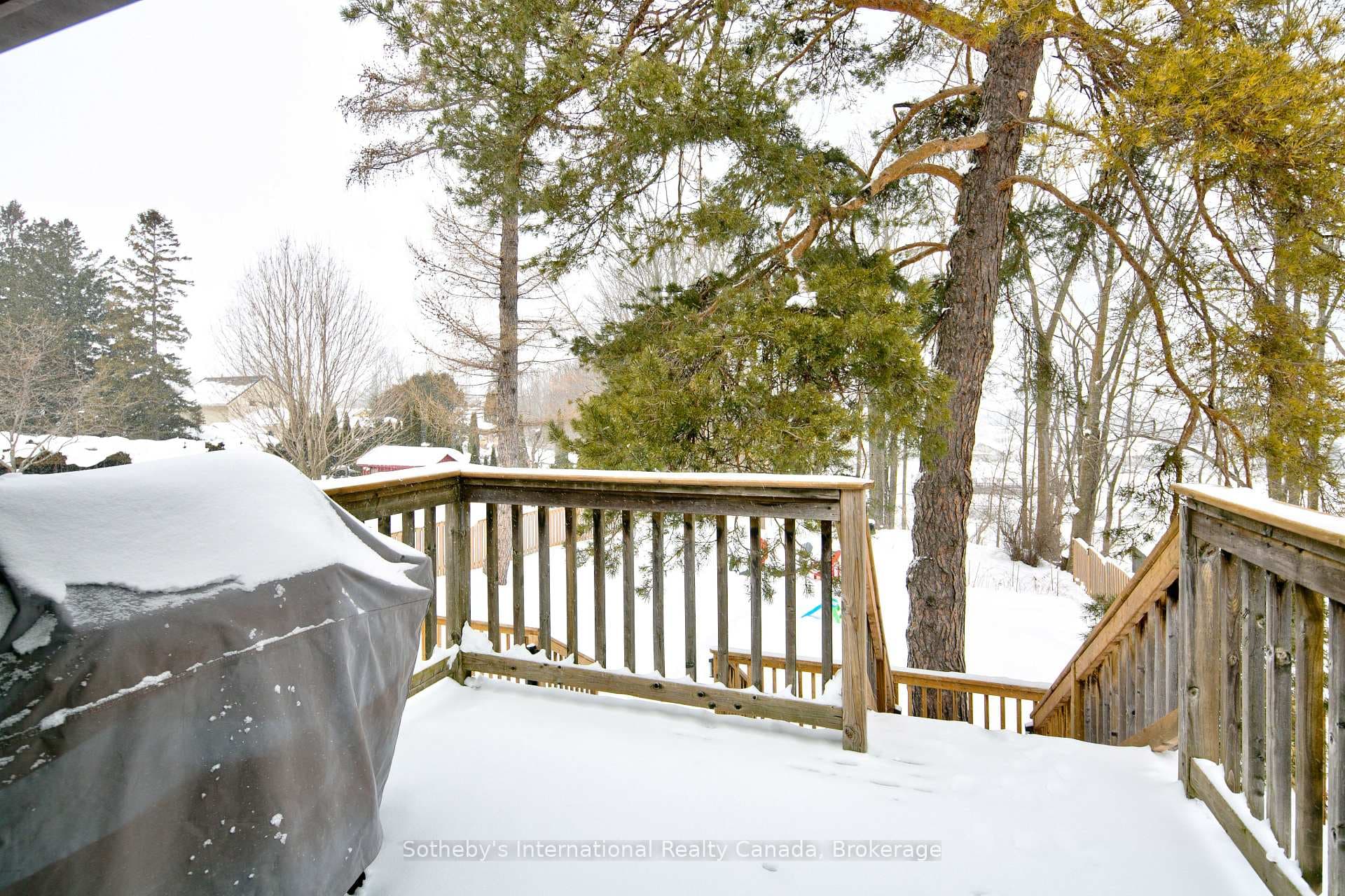 236 Collingwood Street photo 8