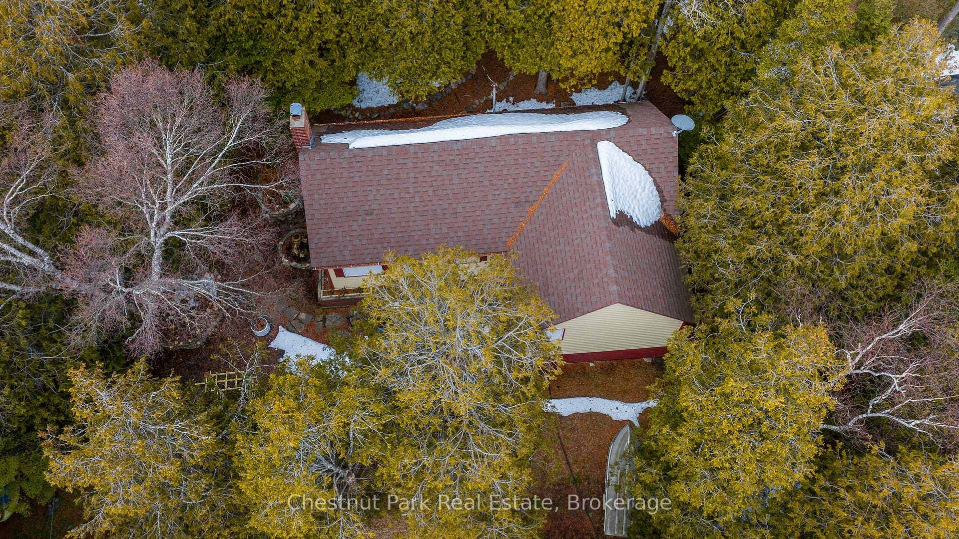41 Simpson Avenue photo 11