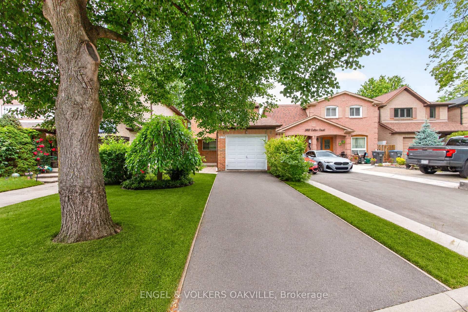 2463 Colter Court photo 2