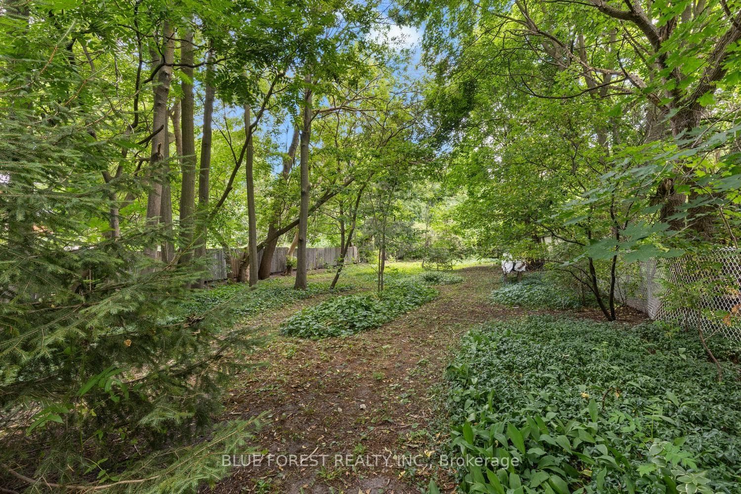 550 Elizabeth Street photo 38