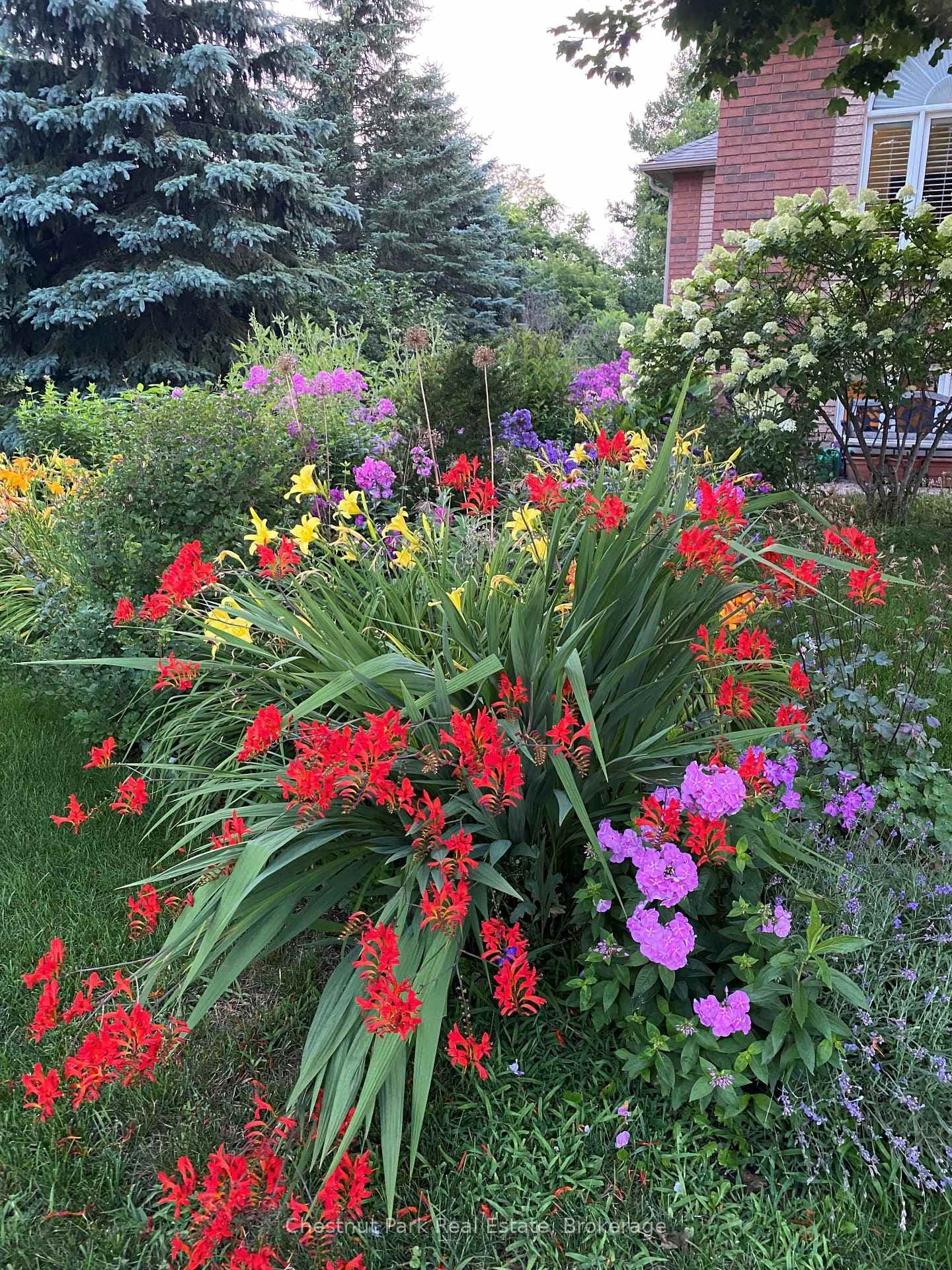 Bursts of colour everywhere!
