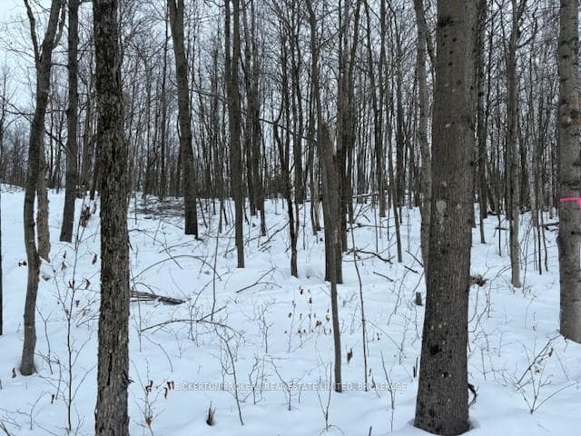 000 Whitefish Lake Road photo 8