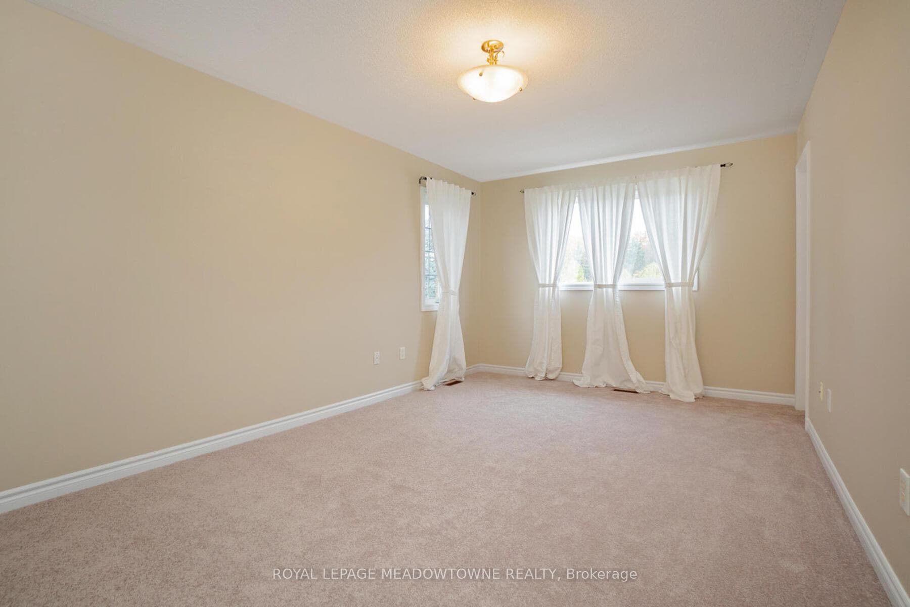 33 Palomino Trail photo 19