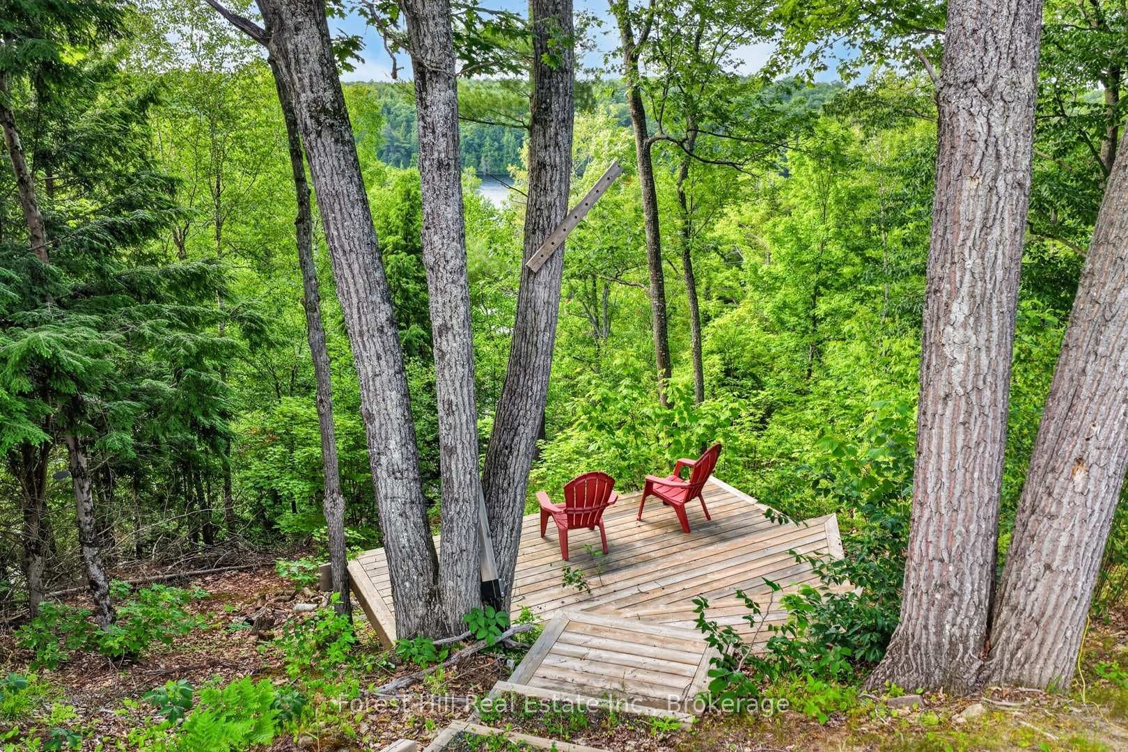 1065 Pine Lane photo 37