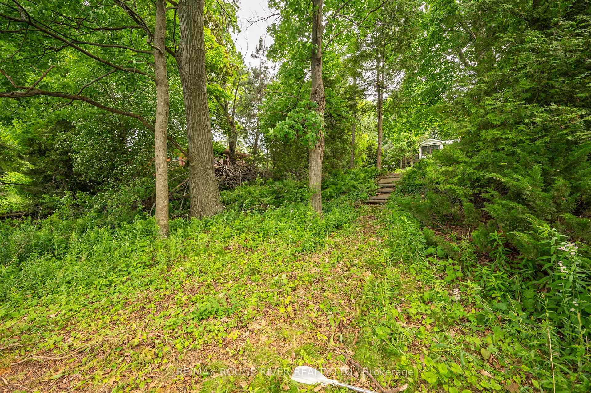 81 Gilson Street photo 23