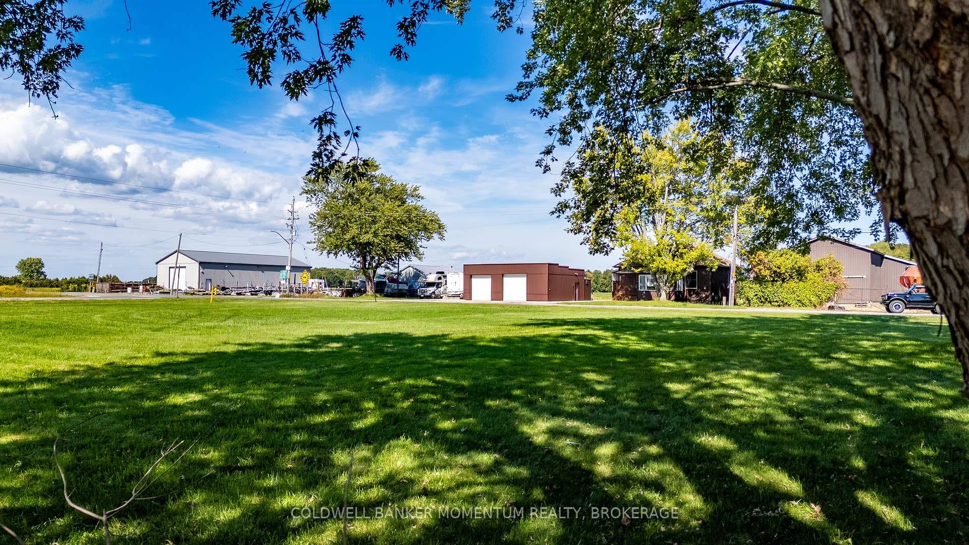 1179 BAY Street photo 7