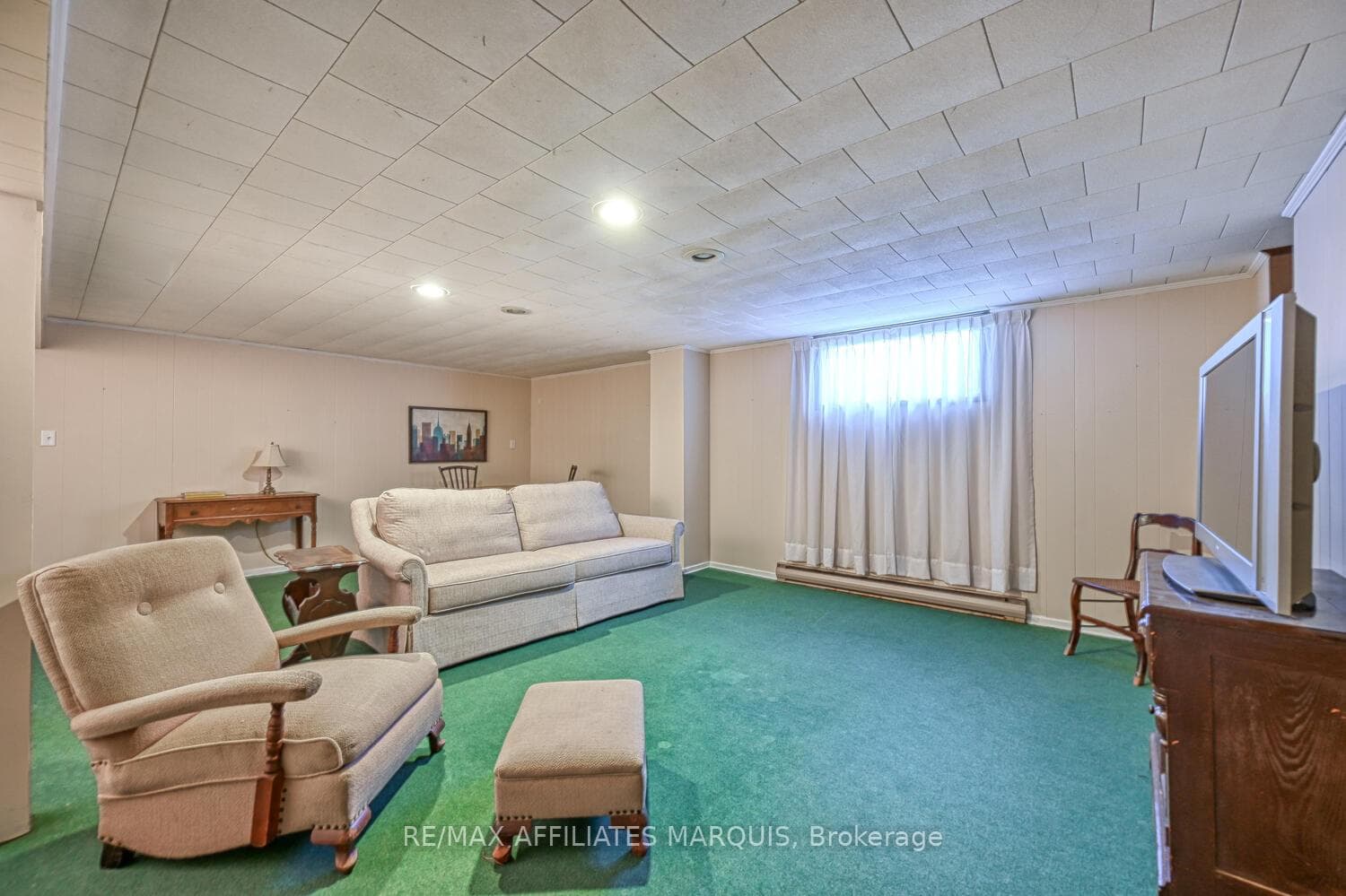 Den In Basement