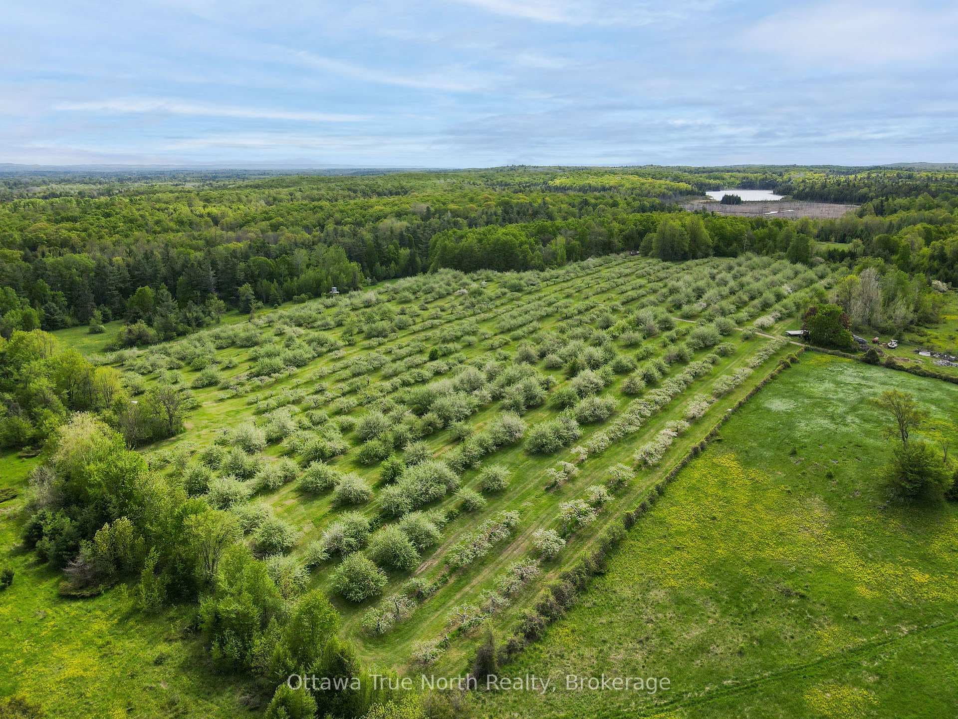 3376 Burnstown Road photo 41