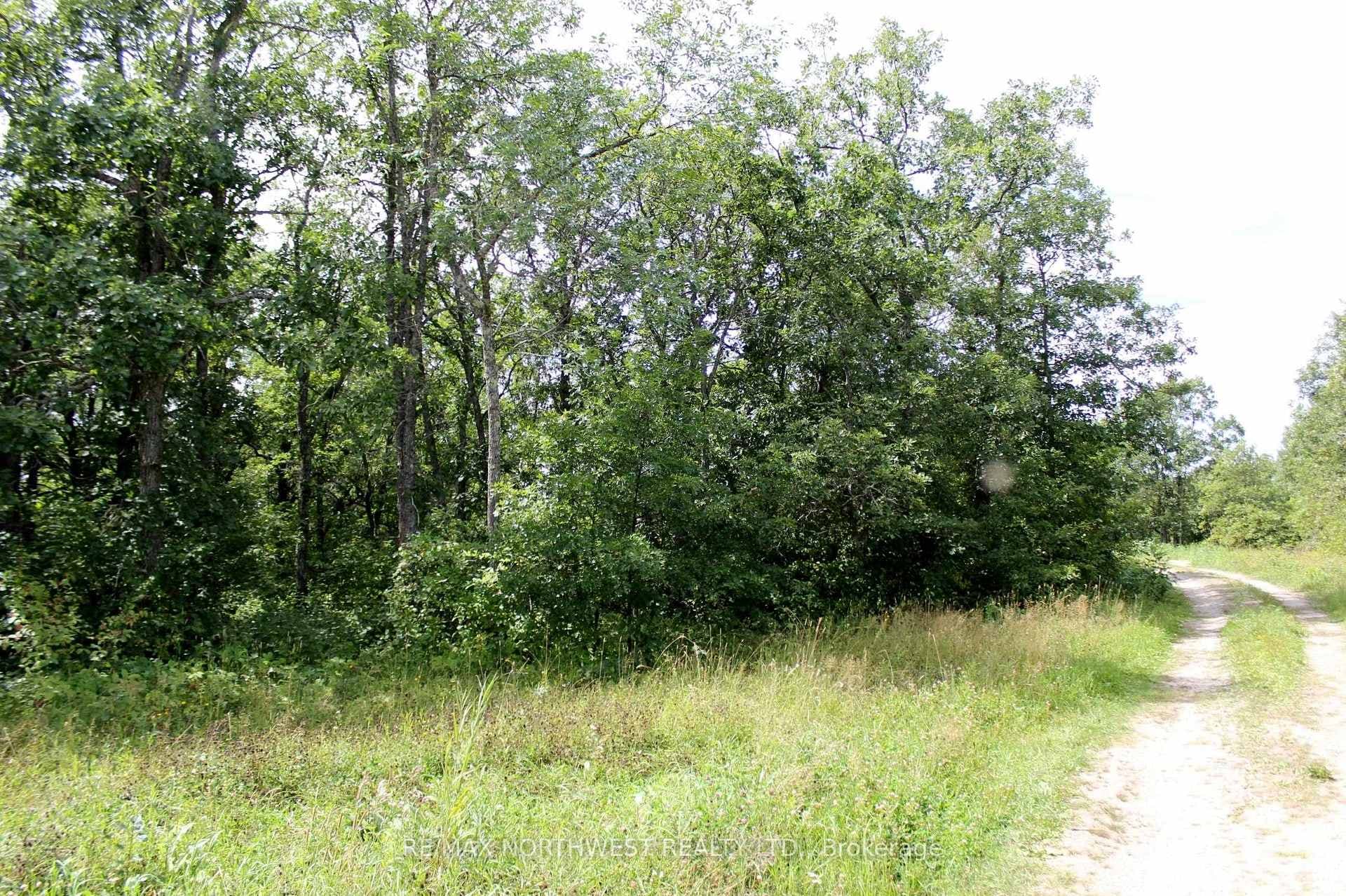 220 MORRISON RD photo 15