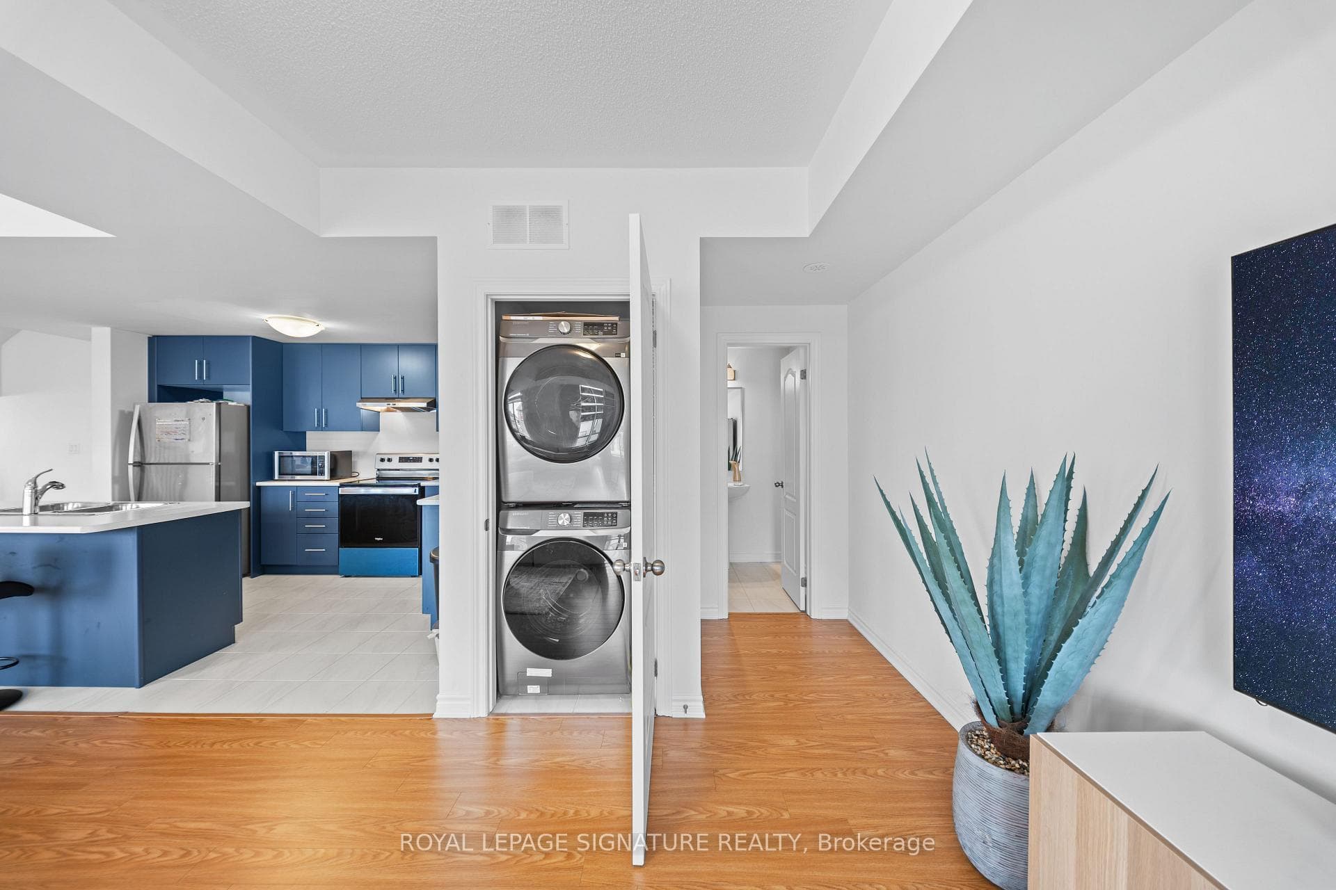 429 Dougall Avenue photo 20