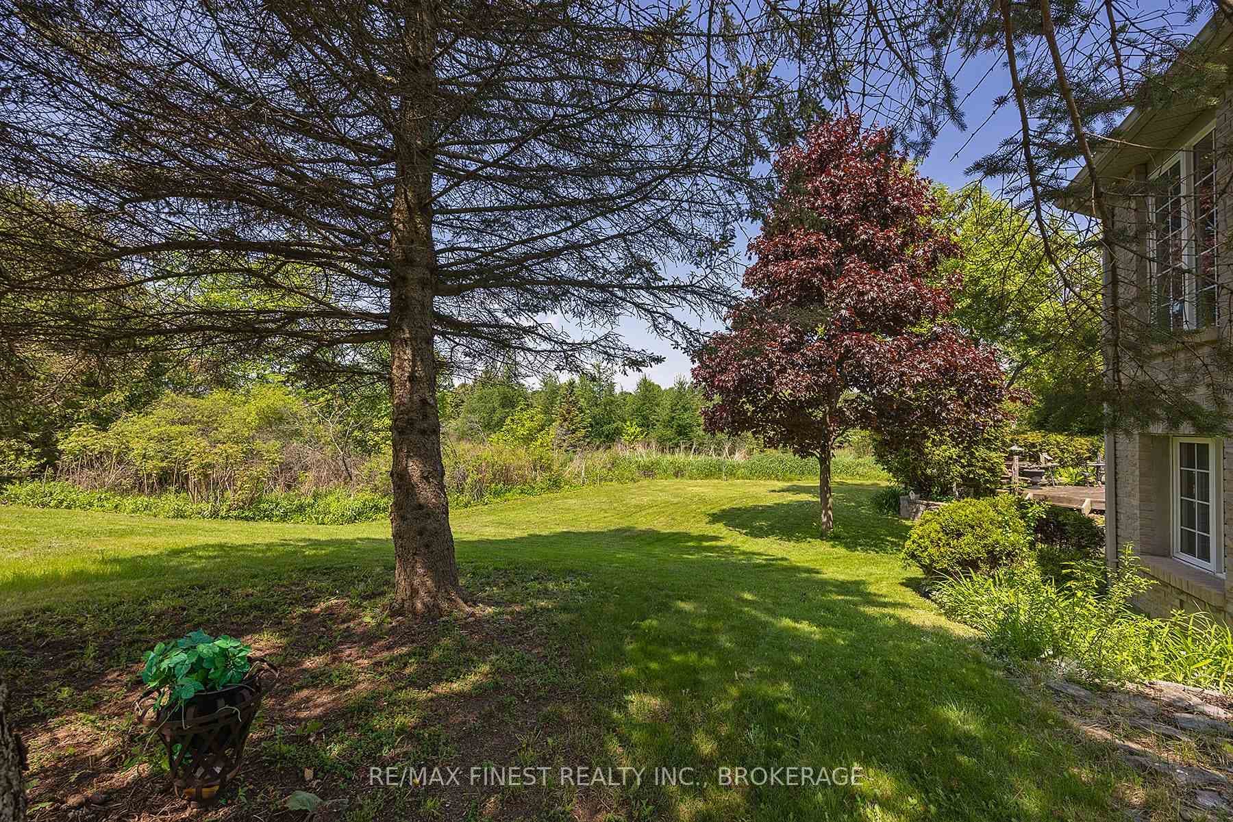941 Malvern Terrace photo 7