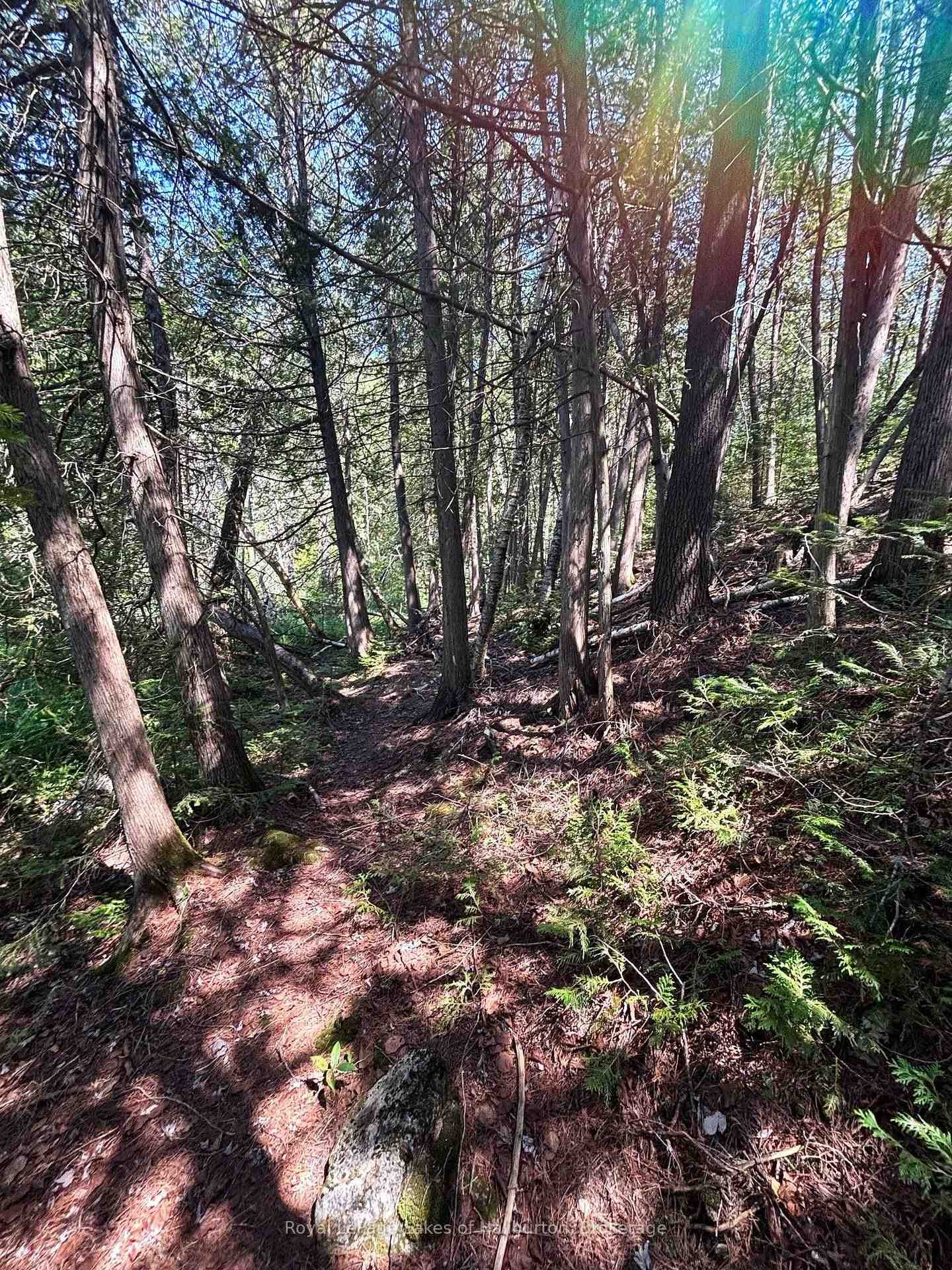 Beside 1456 Crystal Lake Road photo 18