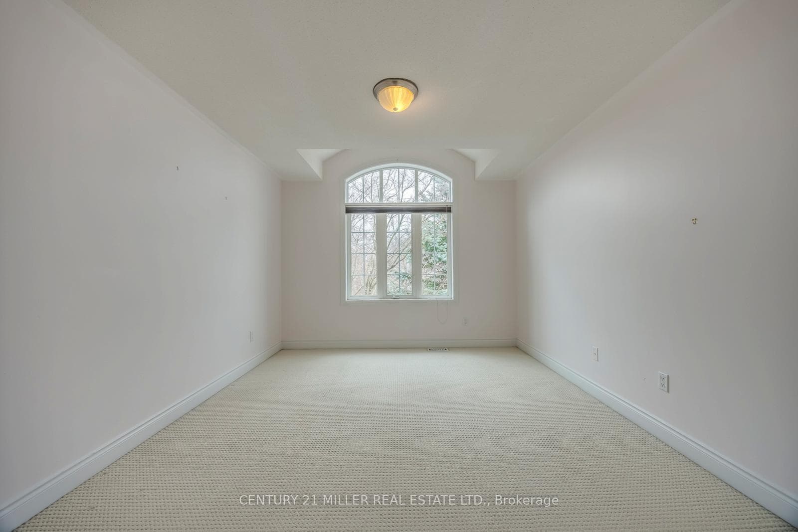 Bright Bedroom With Neutral Carpet