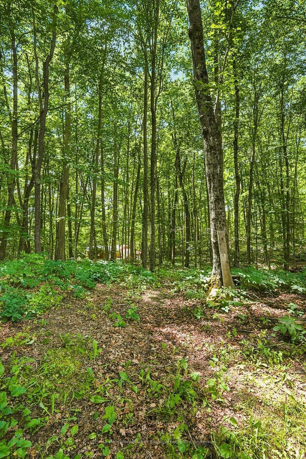 1201 Wenona Lake Road photo 36