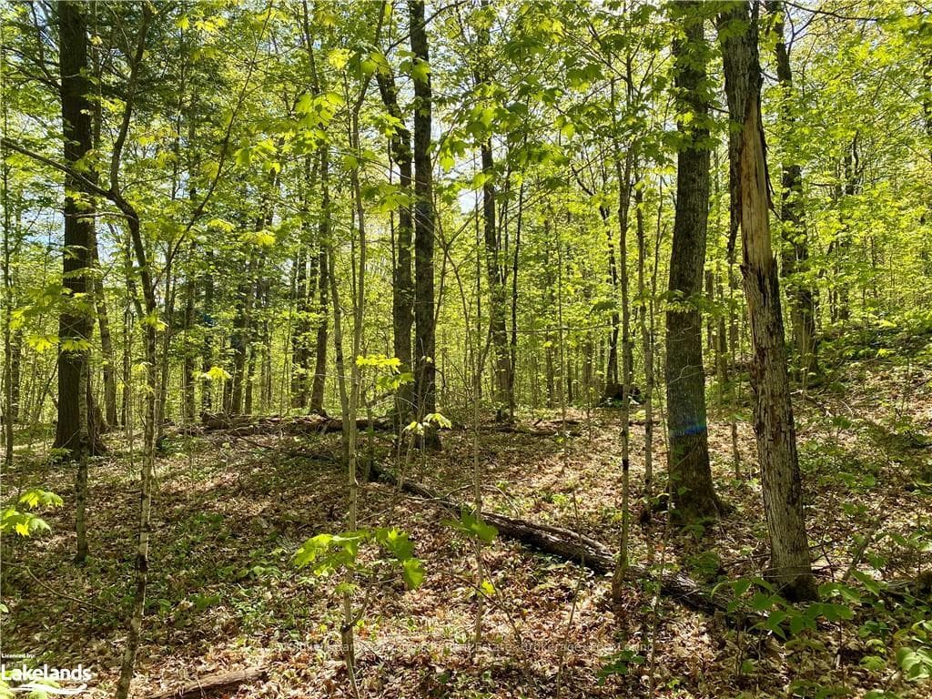 06-A TOAD LAKE N/A photo 18