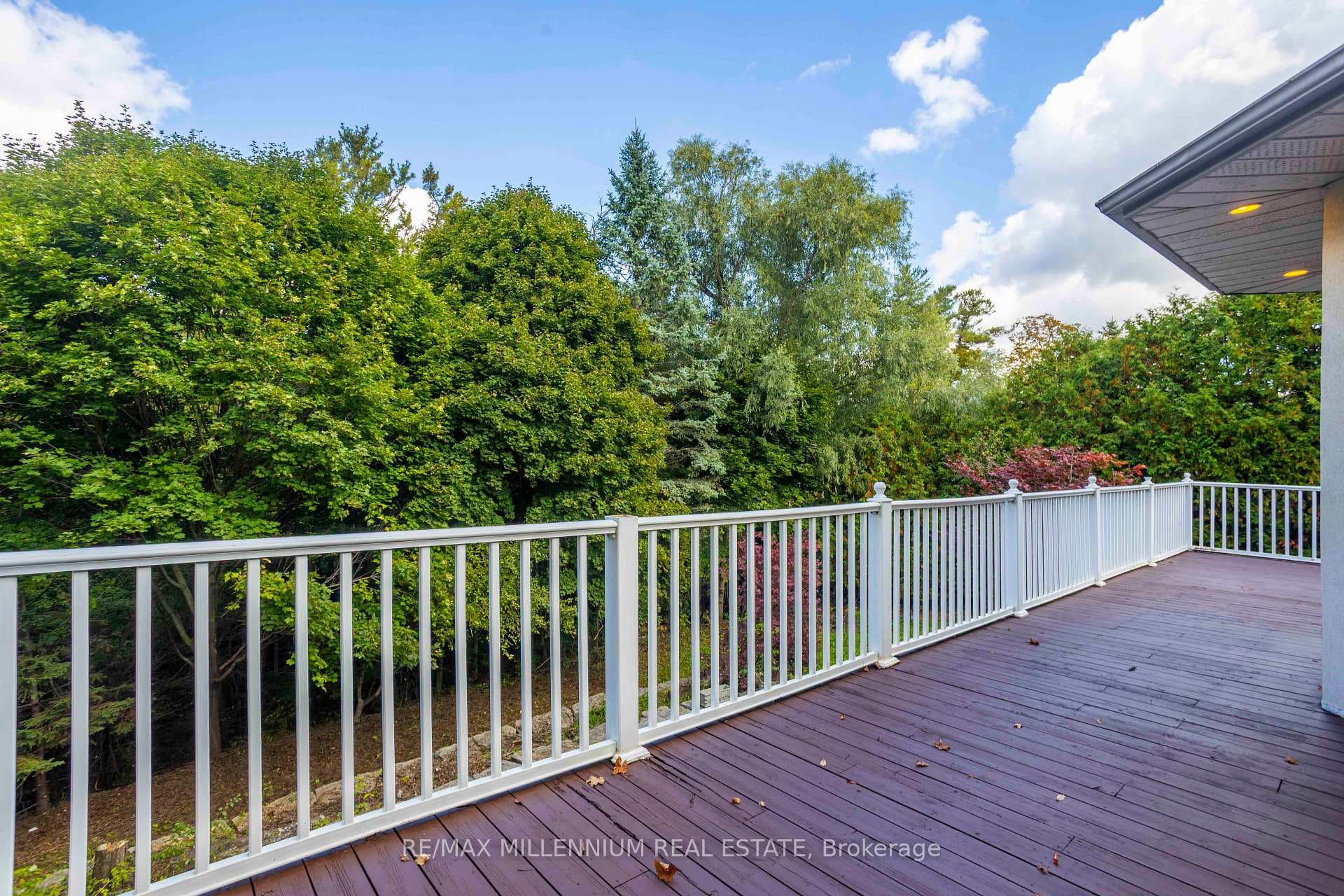678 Nashville Road photo 20