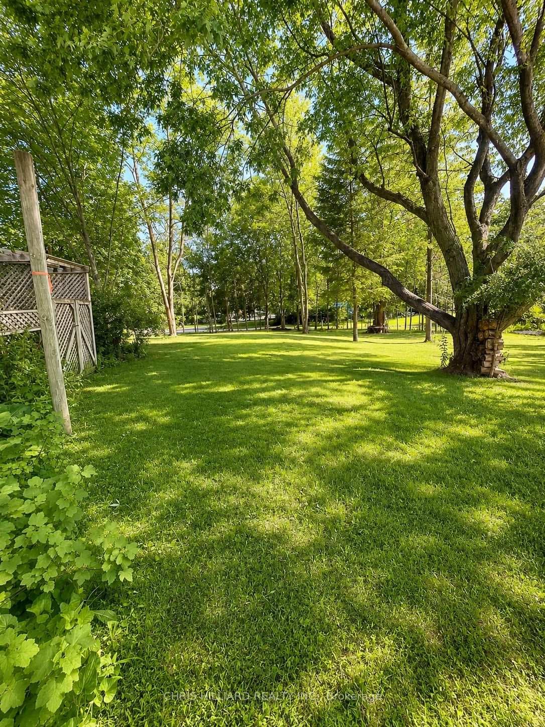 1668 River Road photo 14