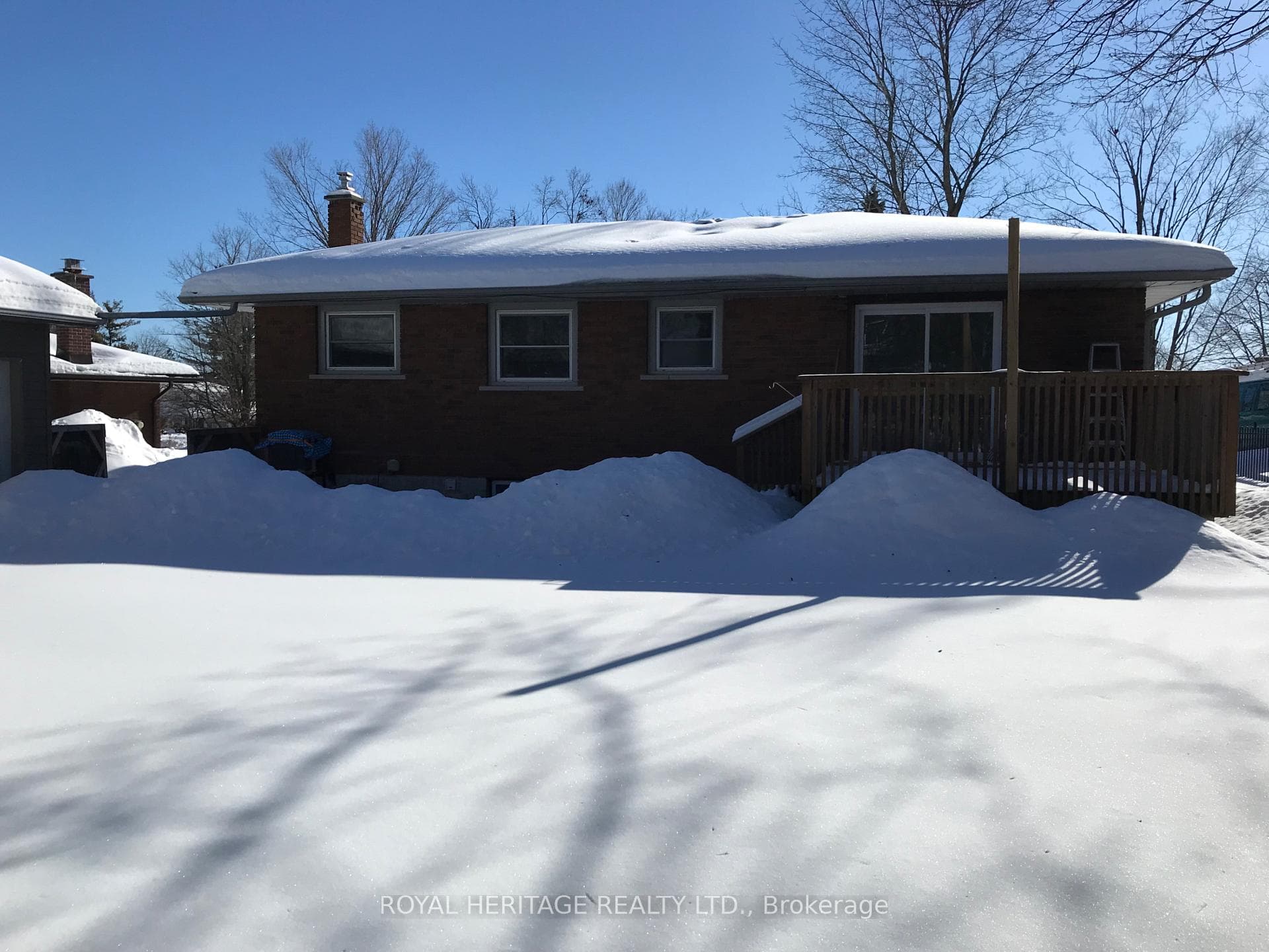 Rear yard view