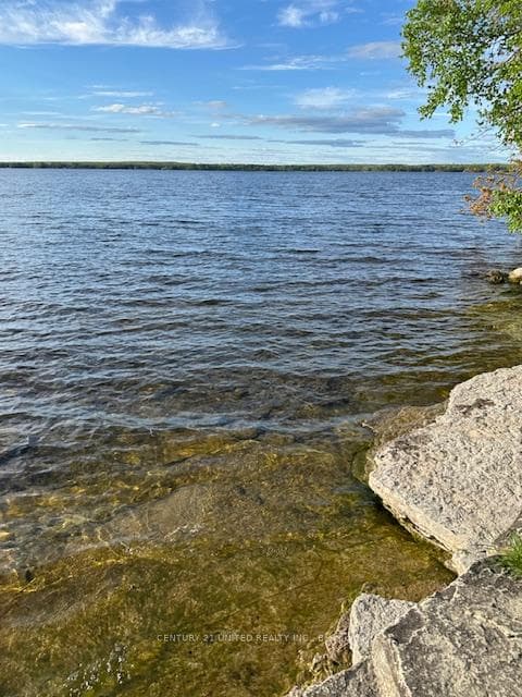 Public Lake Access for Swimming
