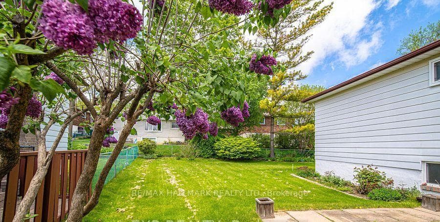 Beautiful big fenced backyard