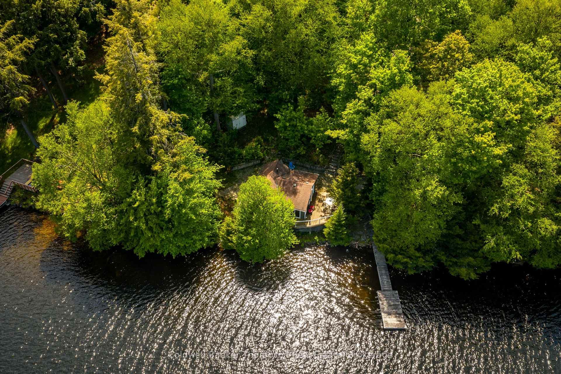 61 Maple Drive photo 45