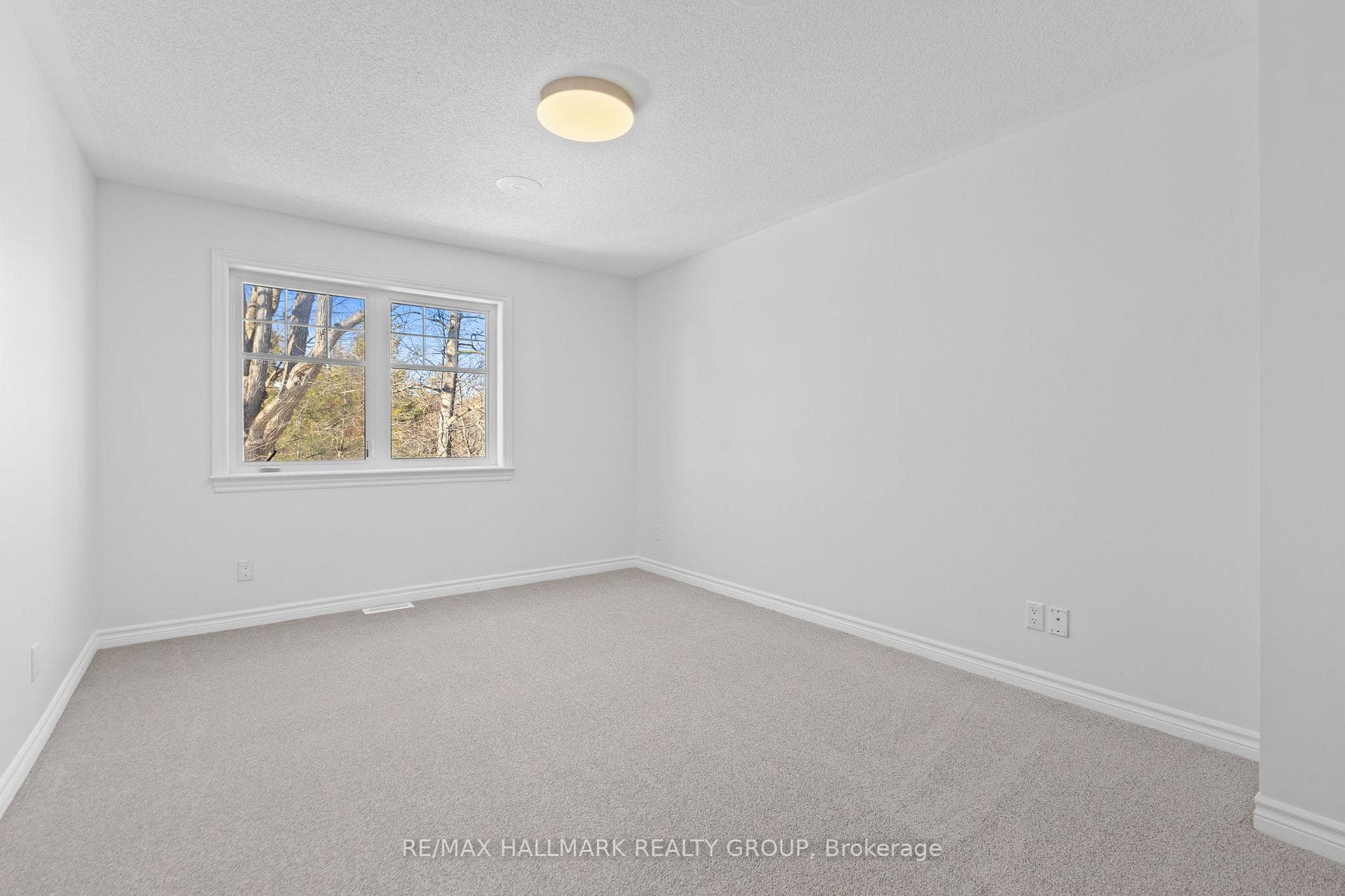 Bright bedroom with carpet flooring