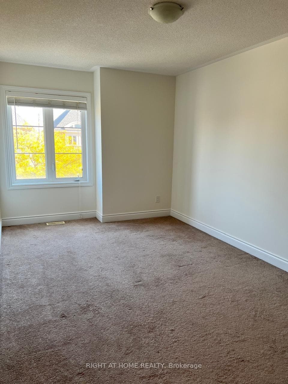 100 Lacewood Drive photo 21