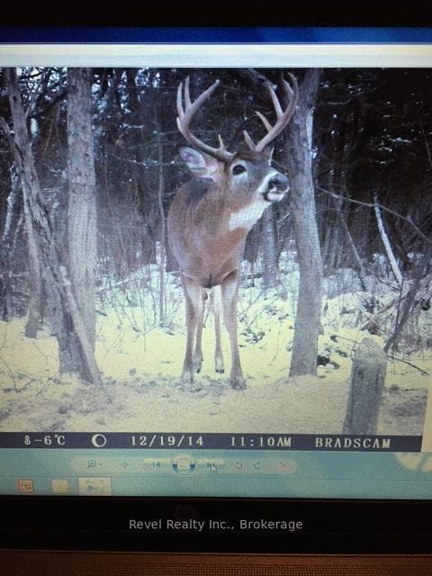 0 LILAC ROAD AT PIGEON LAKE ROAD N/A photo 15