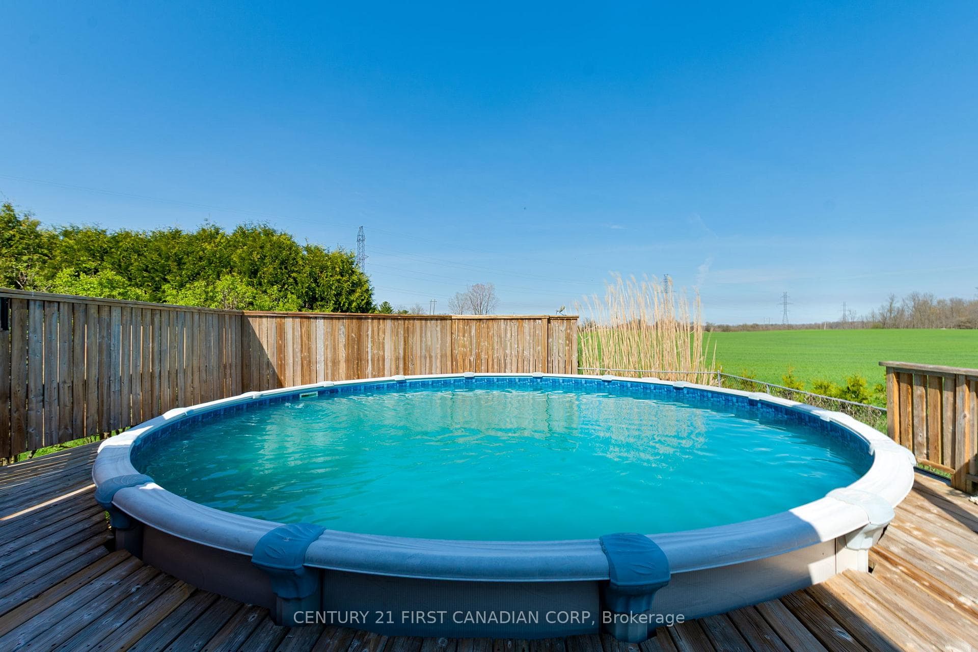 653 Peter Street photo 38