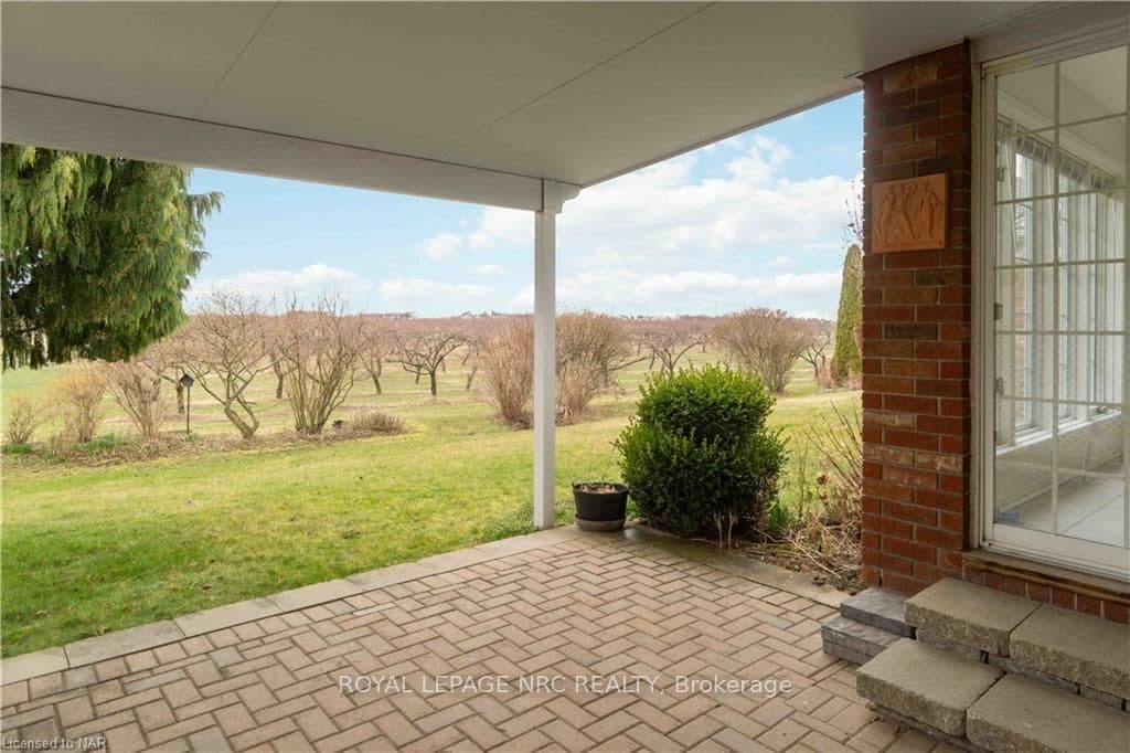 View from Back Patio