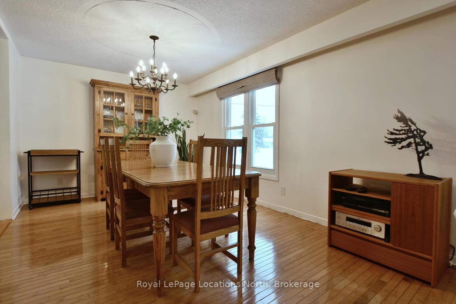 53 ALICE Street photo 17