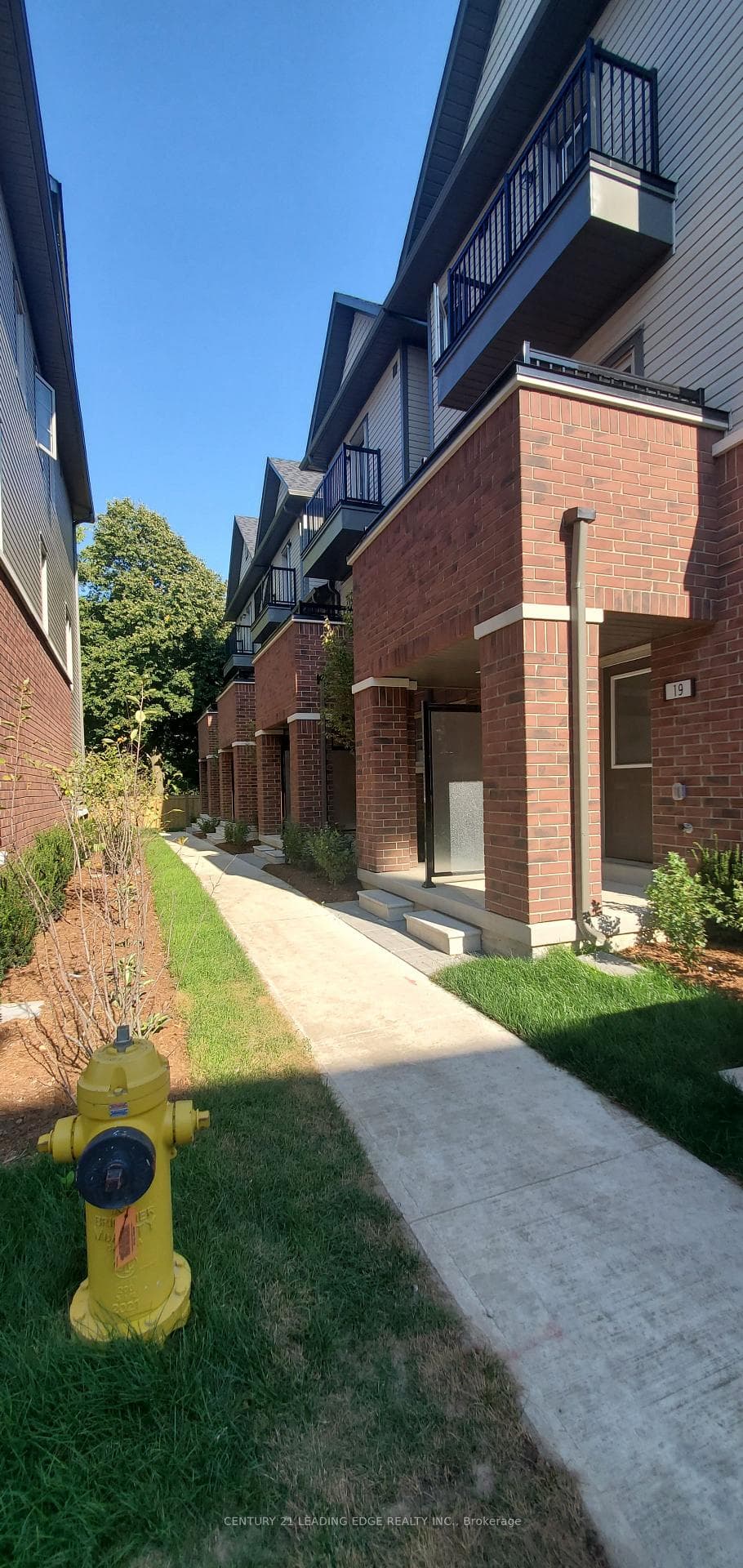 23 Petley Street photo 2