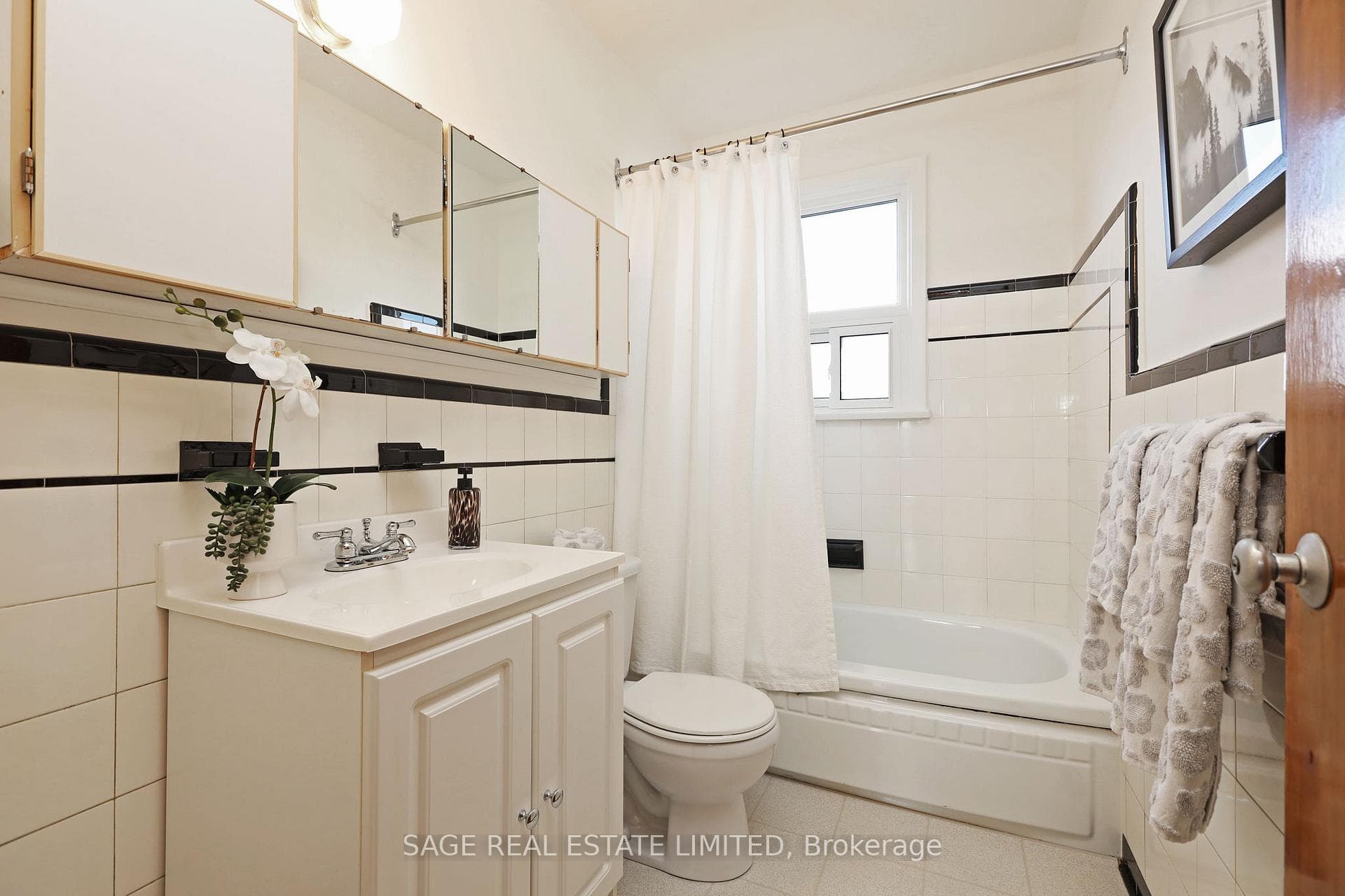 6 White Avenue photo 19