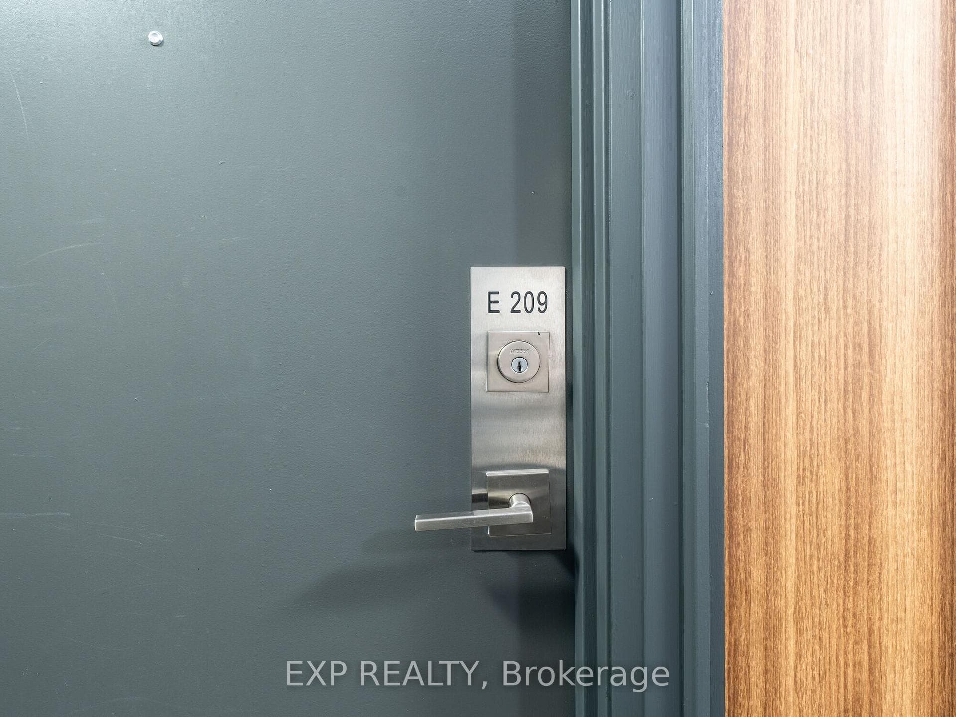 555 Wilson Avenue Unit E209 photo 4