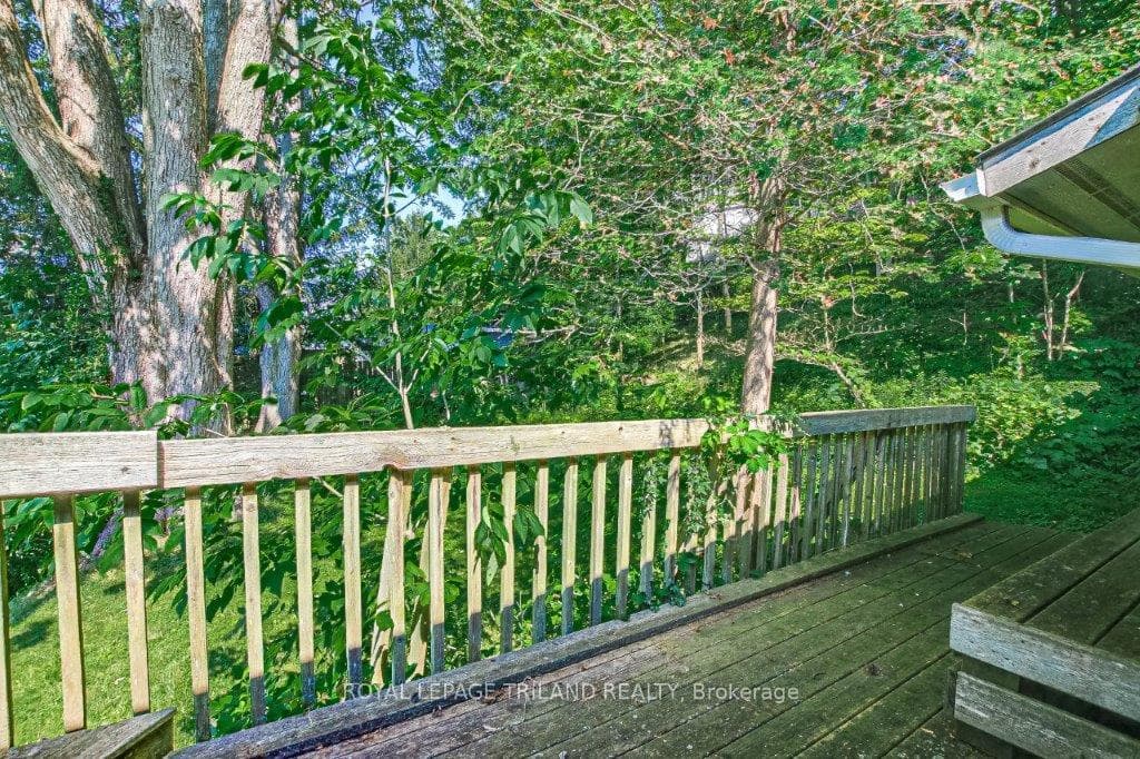 159 HARRISON Place photo 22