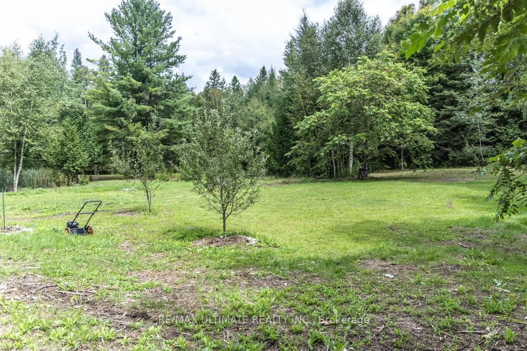1810 Harper Road photo 29