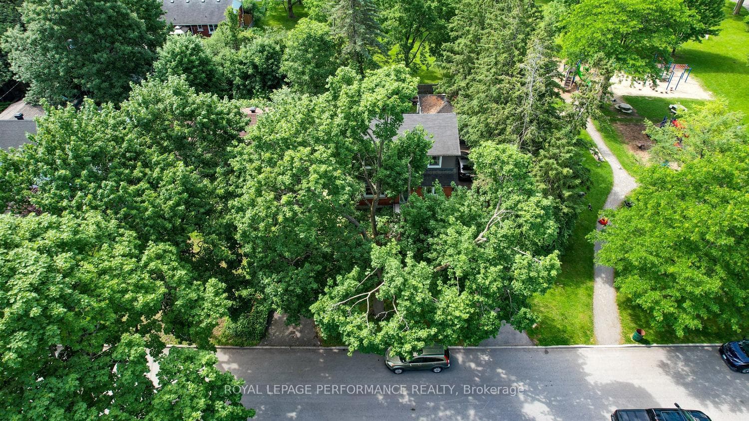 140 Begonia Avenue photo 47