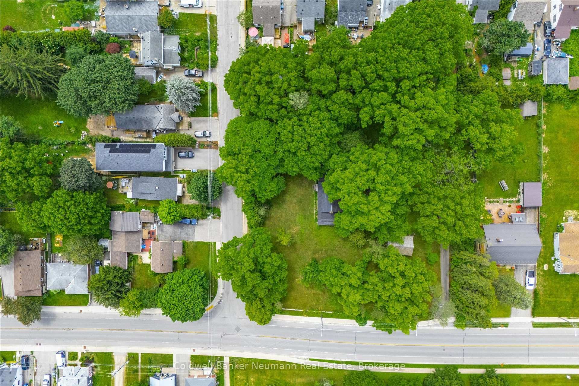 280 Palmer Street photo 45
