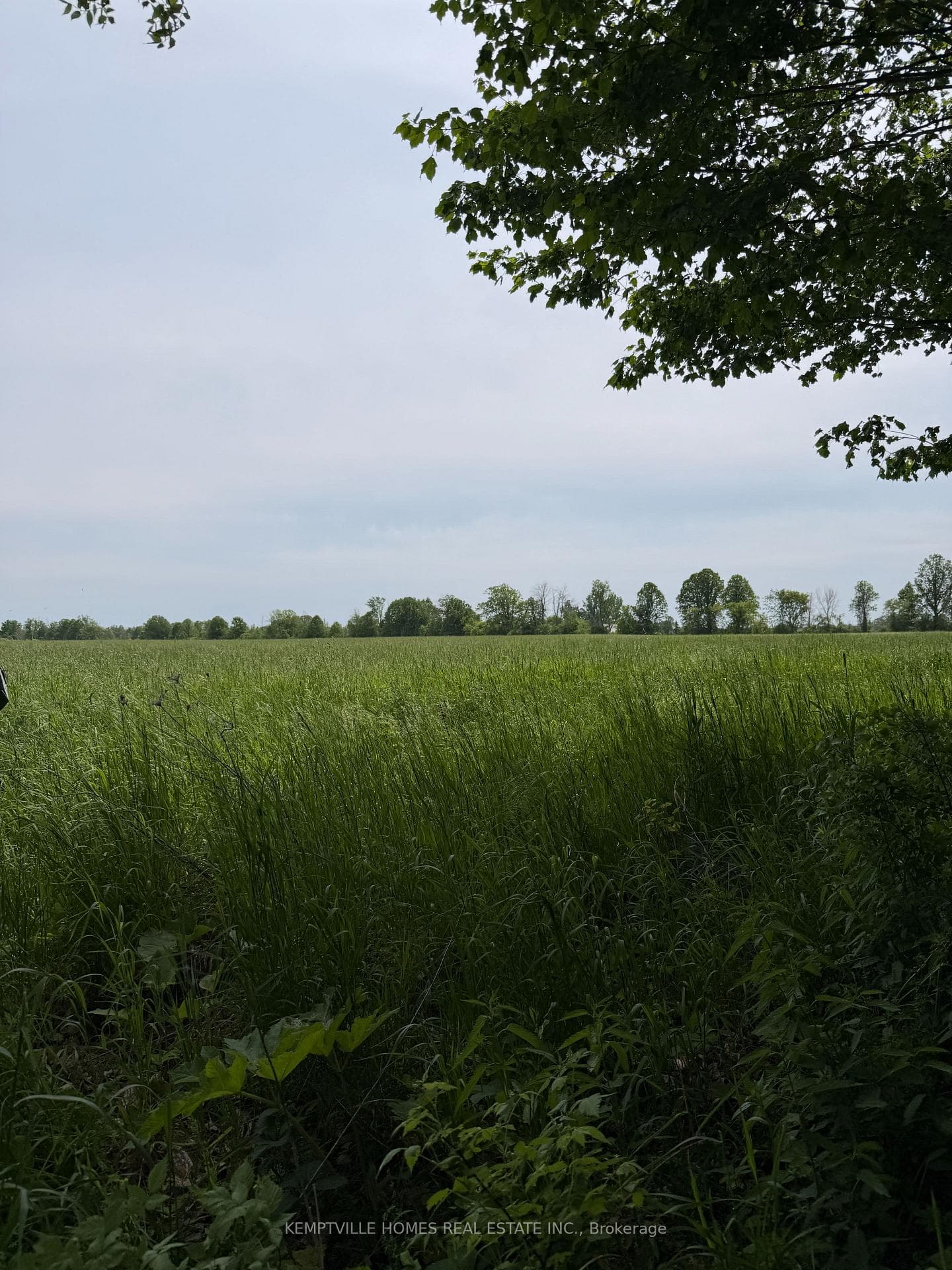 00 RICHARDSON Road photo 17