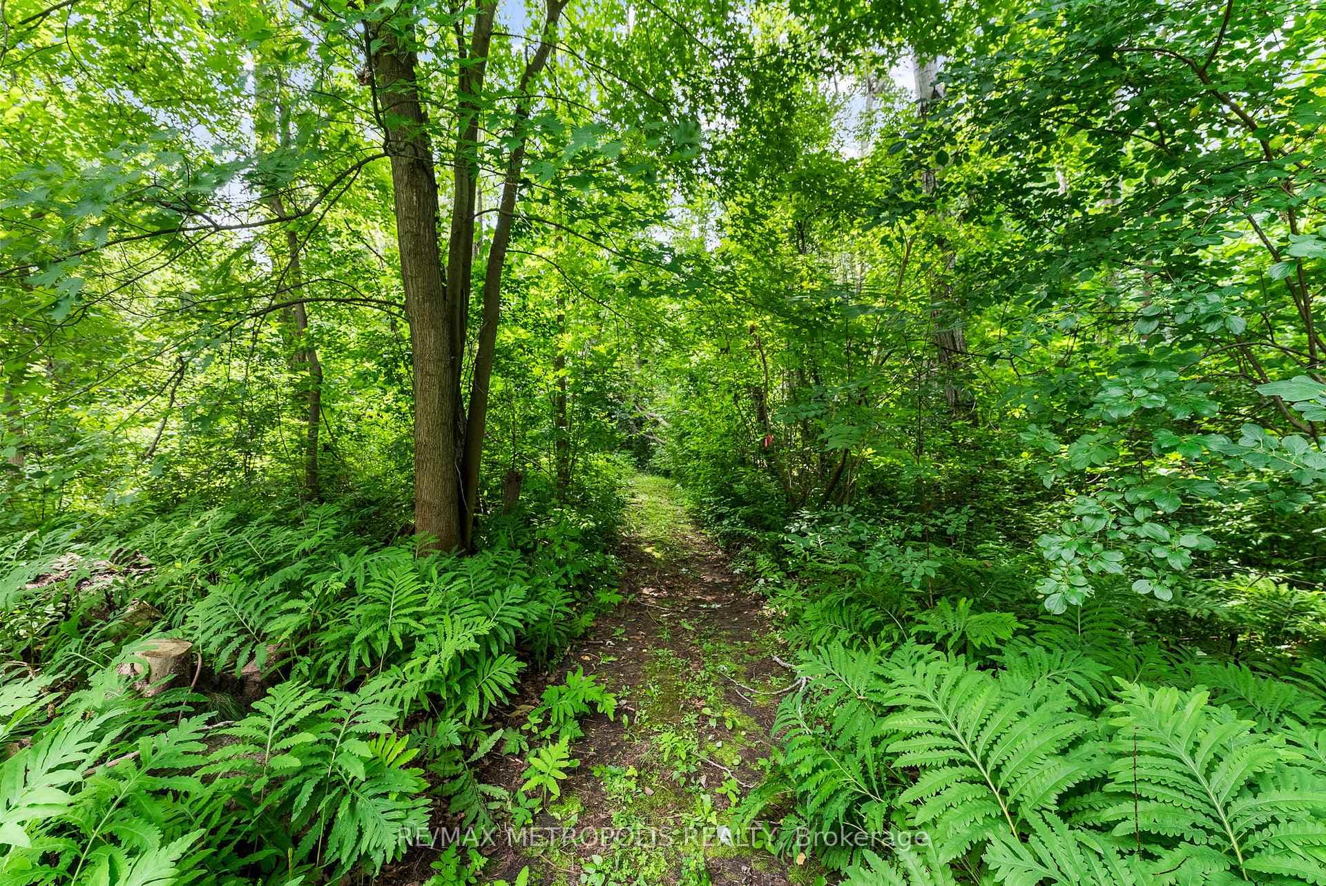 4359 Lloydtown Aurora Road photo 44