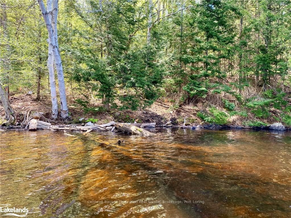 06-A TOAD LAKE N/A photo 17