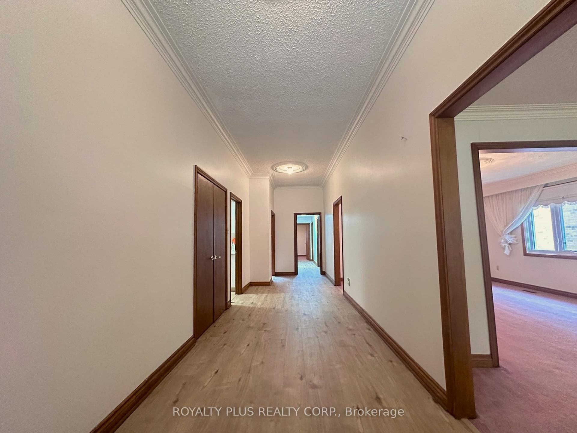 19 Ravine Court photo 7